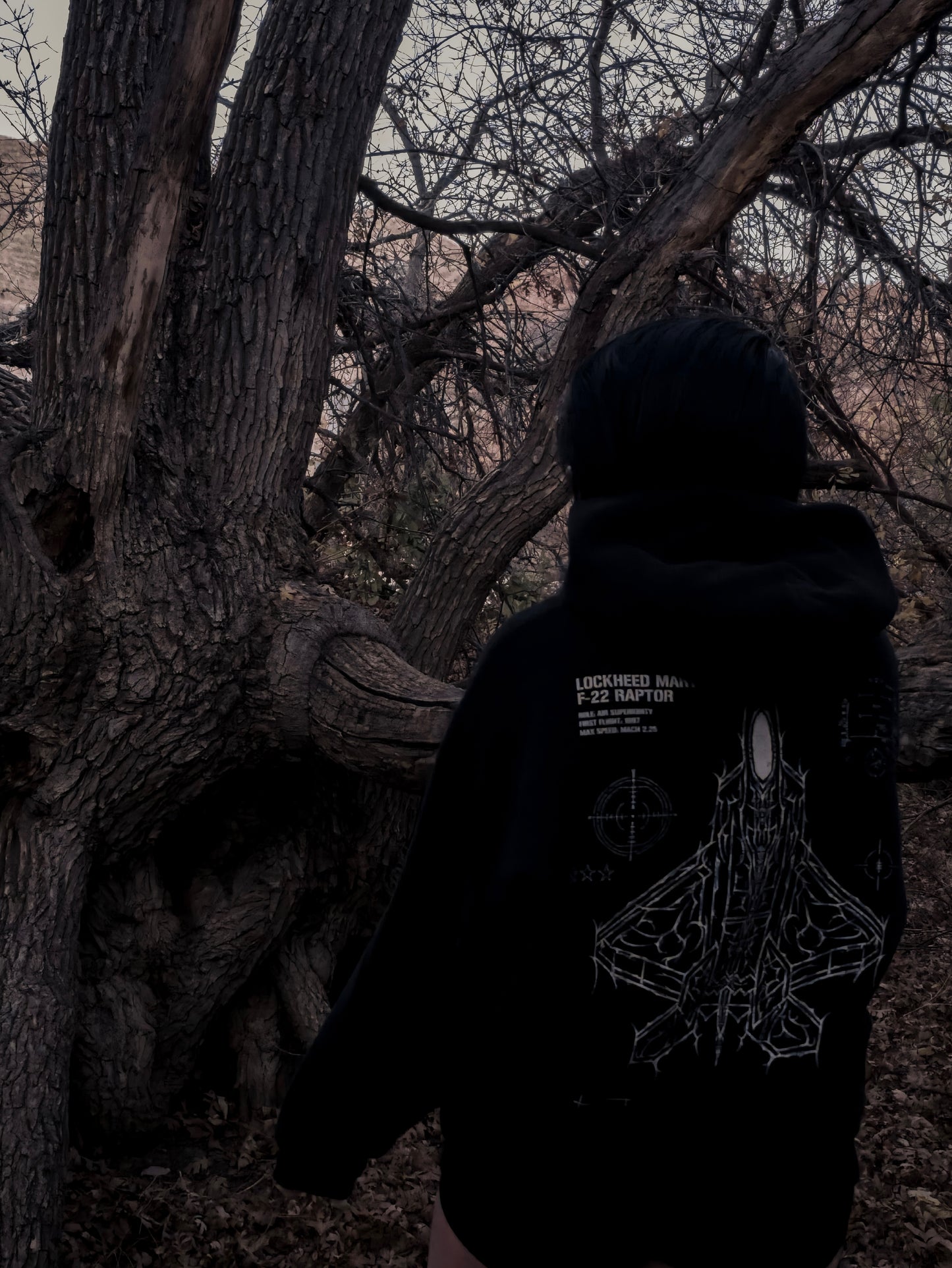 F-22 RAPTOR CYBERSIGILISM HOODIE