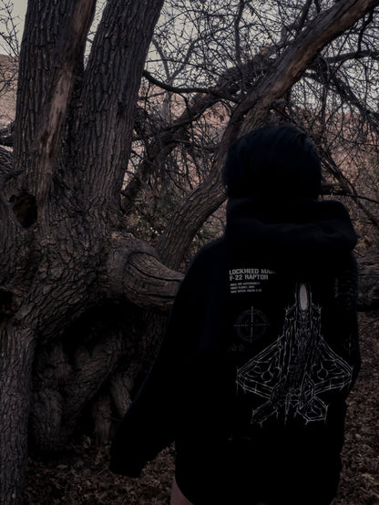 F-22 RAPTOR CYBERSIGILISM HOODIE