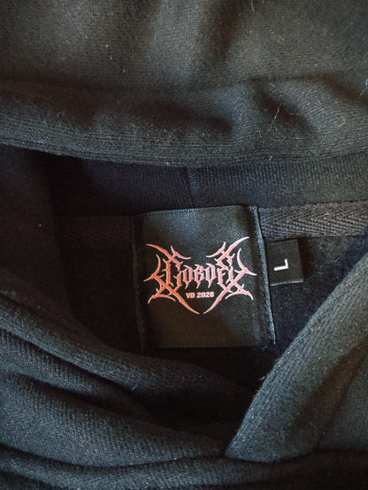 LIMITED VD 2026  - F-22 RAPTOR PINK HOODIE