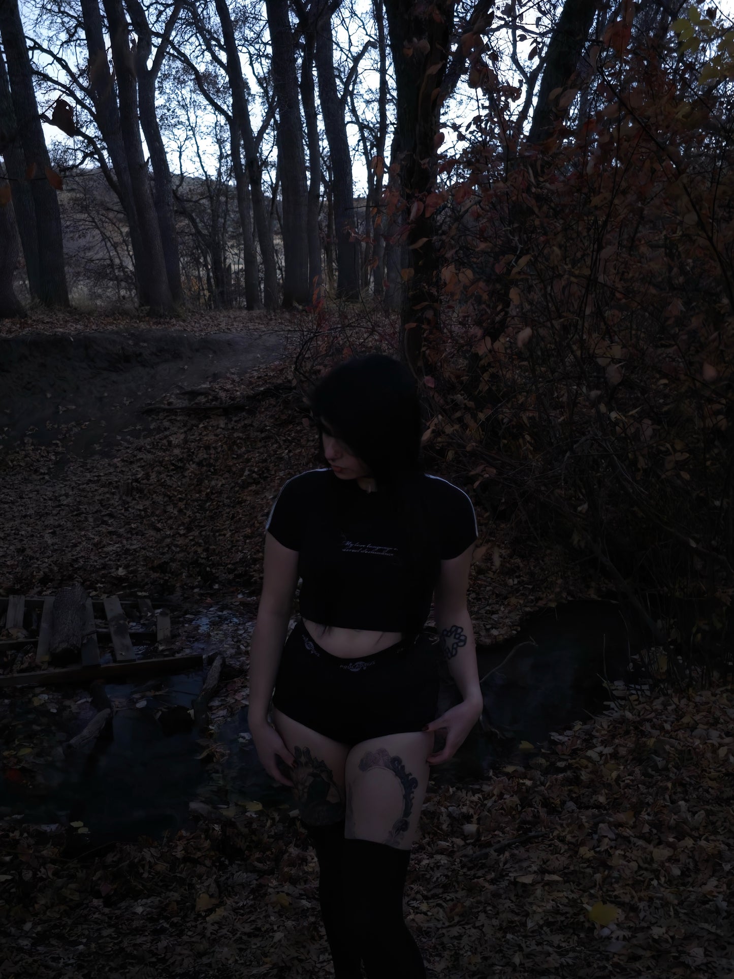 MY LOVE LANGUAGE IS AERIAL DOMINANCE CROP TEE - BLACK