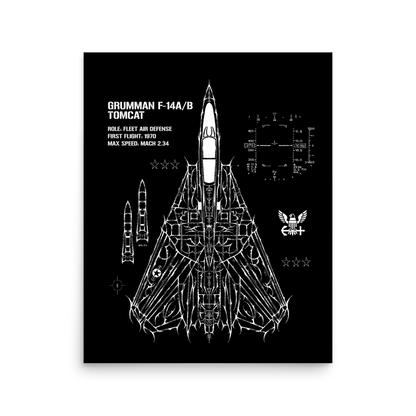 F-14 TOMCAT SWEPT-WING CYBERSIGILISM POSTER