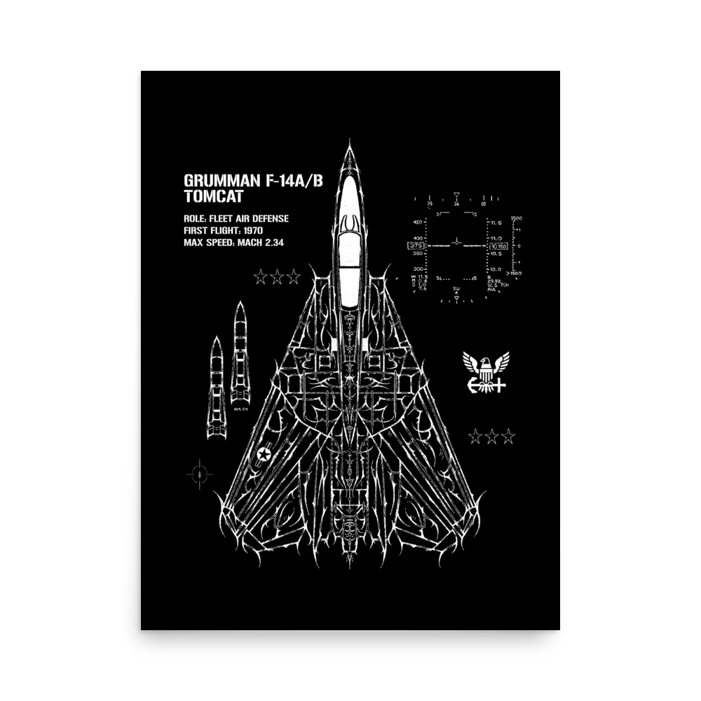 F-14 TOMCAT SWEPT-WING CYBERSIGILISM POSTER