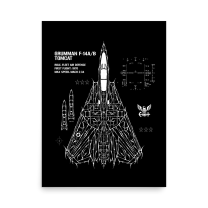 F-14 TOMCAT SWEPT-WING CYBERSIGILISM POSTER